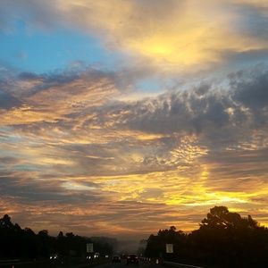 Meet your Posher, Virginia